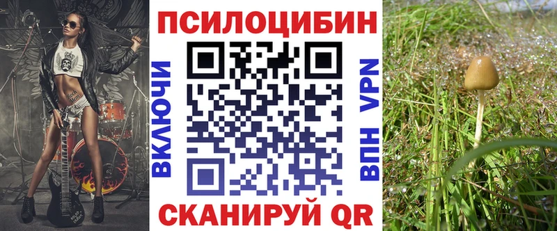 Купить закладки  Пенза  Псилоцибиновые грибы Magic Shrooms 